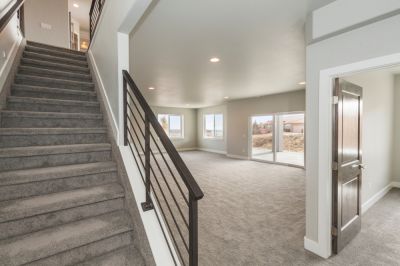 Basement Renovation!